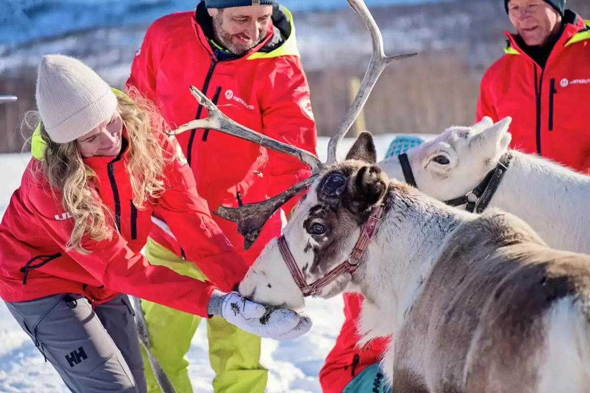 el MS Nordnorge :  cabine 9