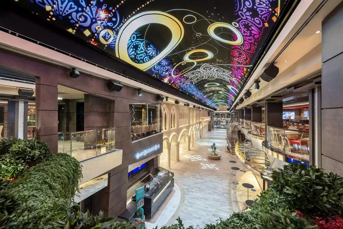 el MSC Virtuosa :  cabine 55