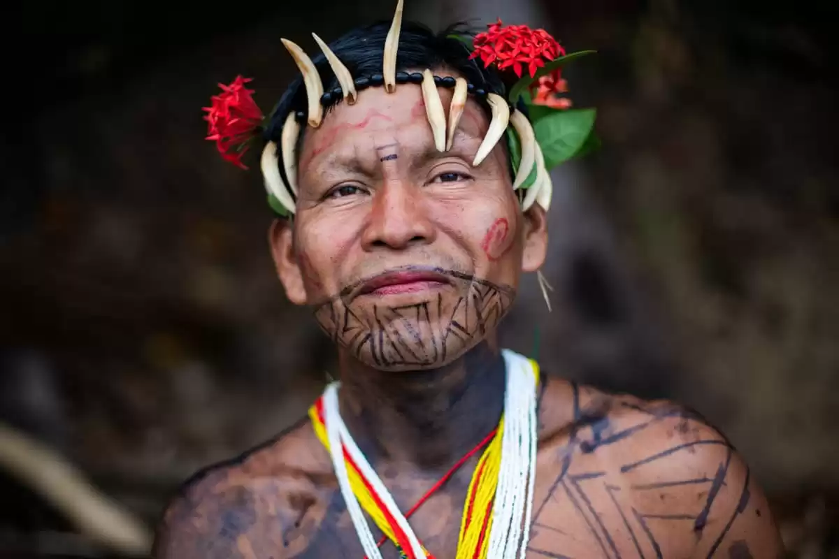 el L Austral :  cabine 3