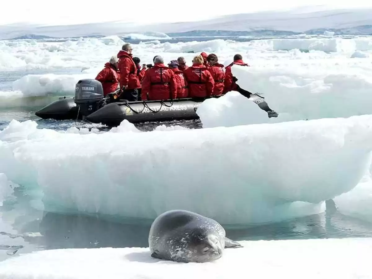 el Le Commandant Charcot :  cabine 51