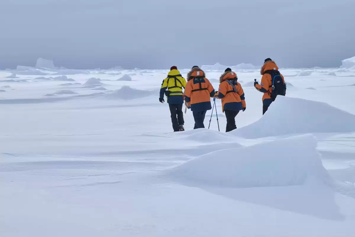 el Le Commandant Charcot :  cabine 67