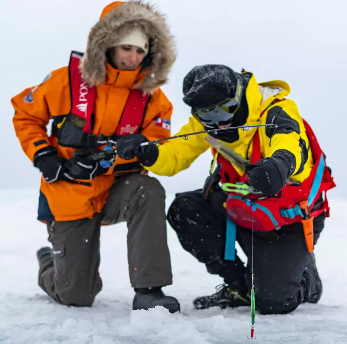 el Le Commandant Charcot :  cabine 72