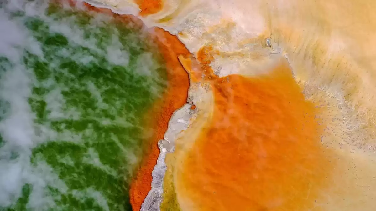 el Le Laperouse :  cabine 5