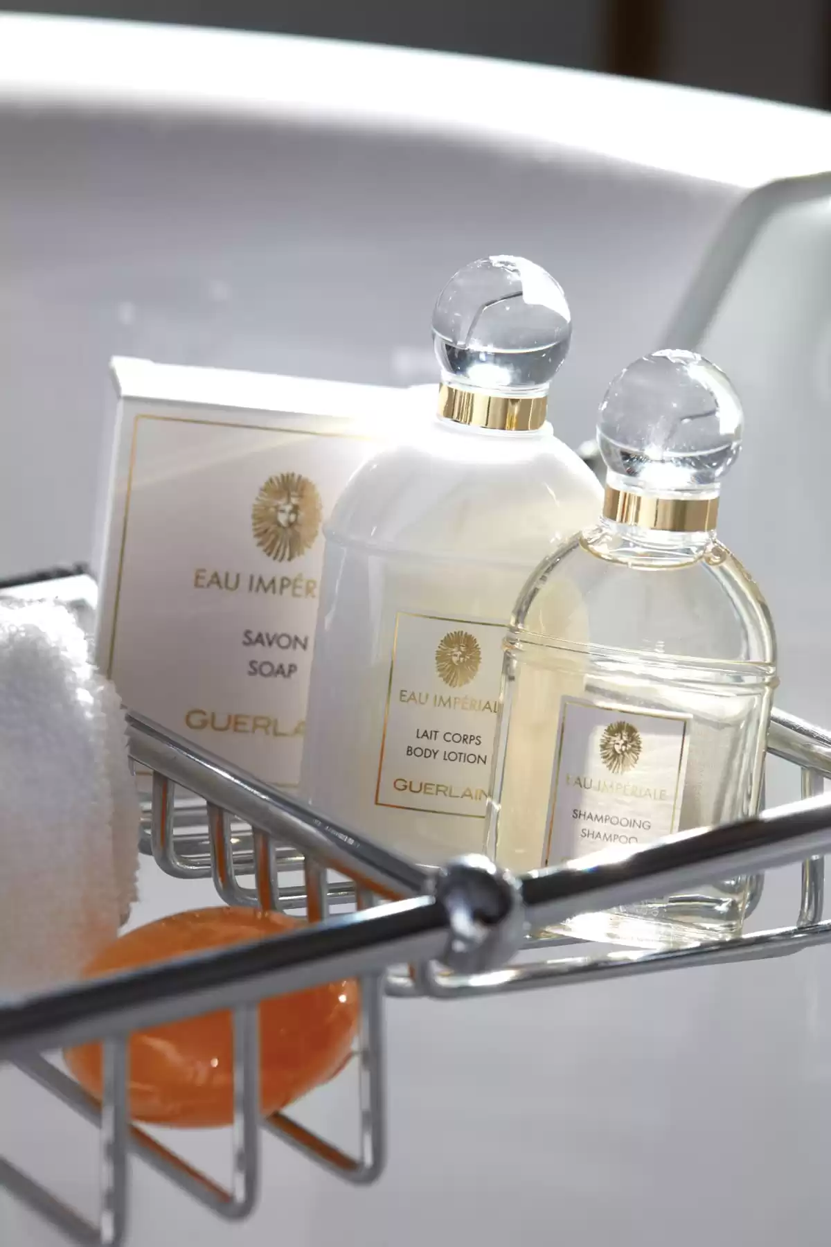 el Seven Seas Voyager :   6