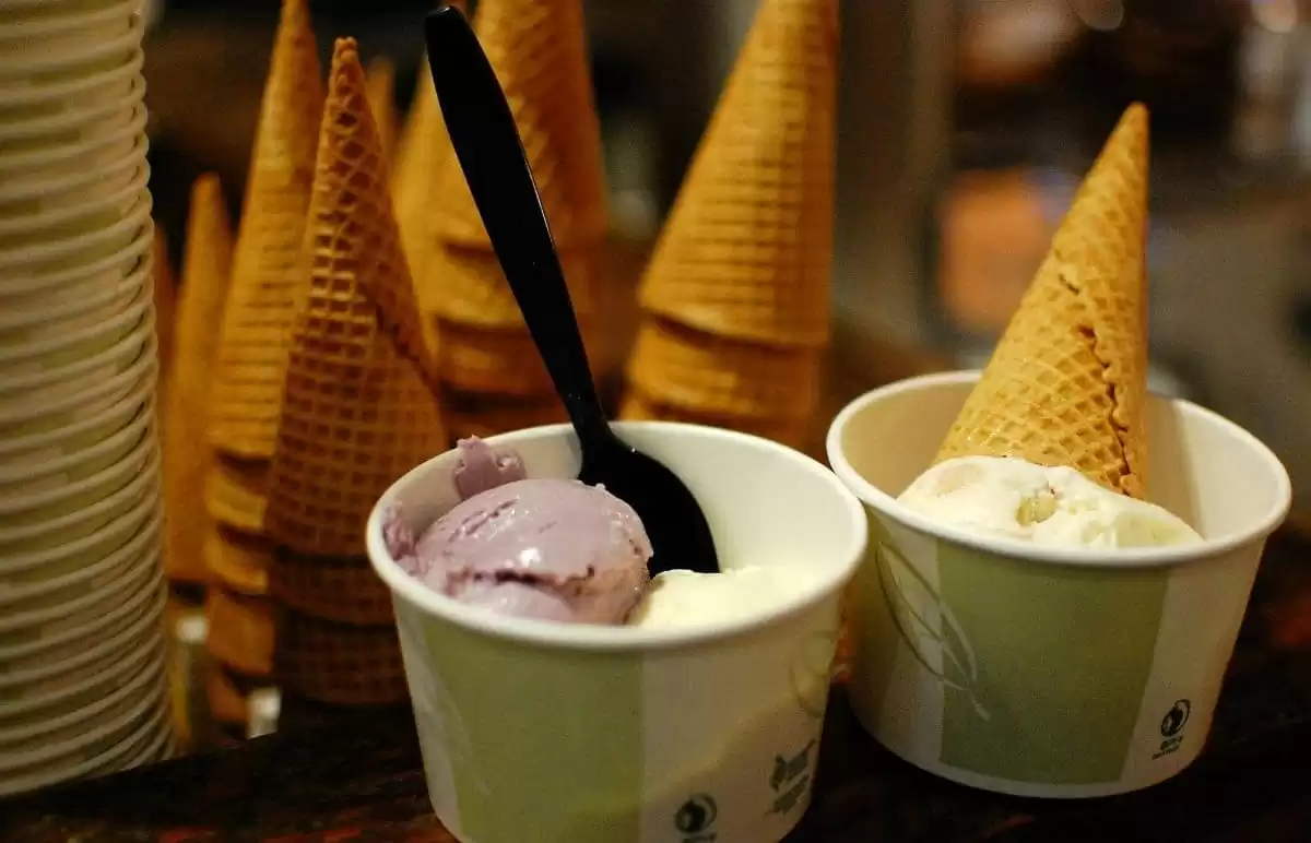 el Explorer of the Seas :  cabine 37