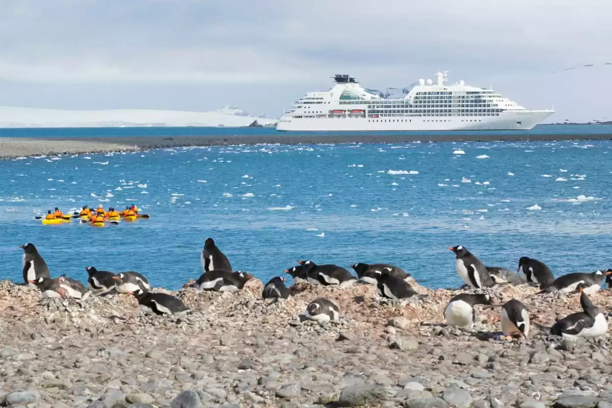 el Seabourn Quest :  cabine 7