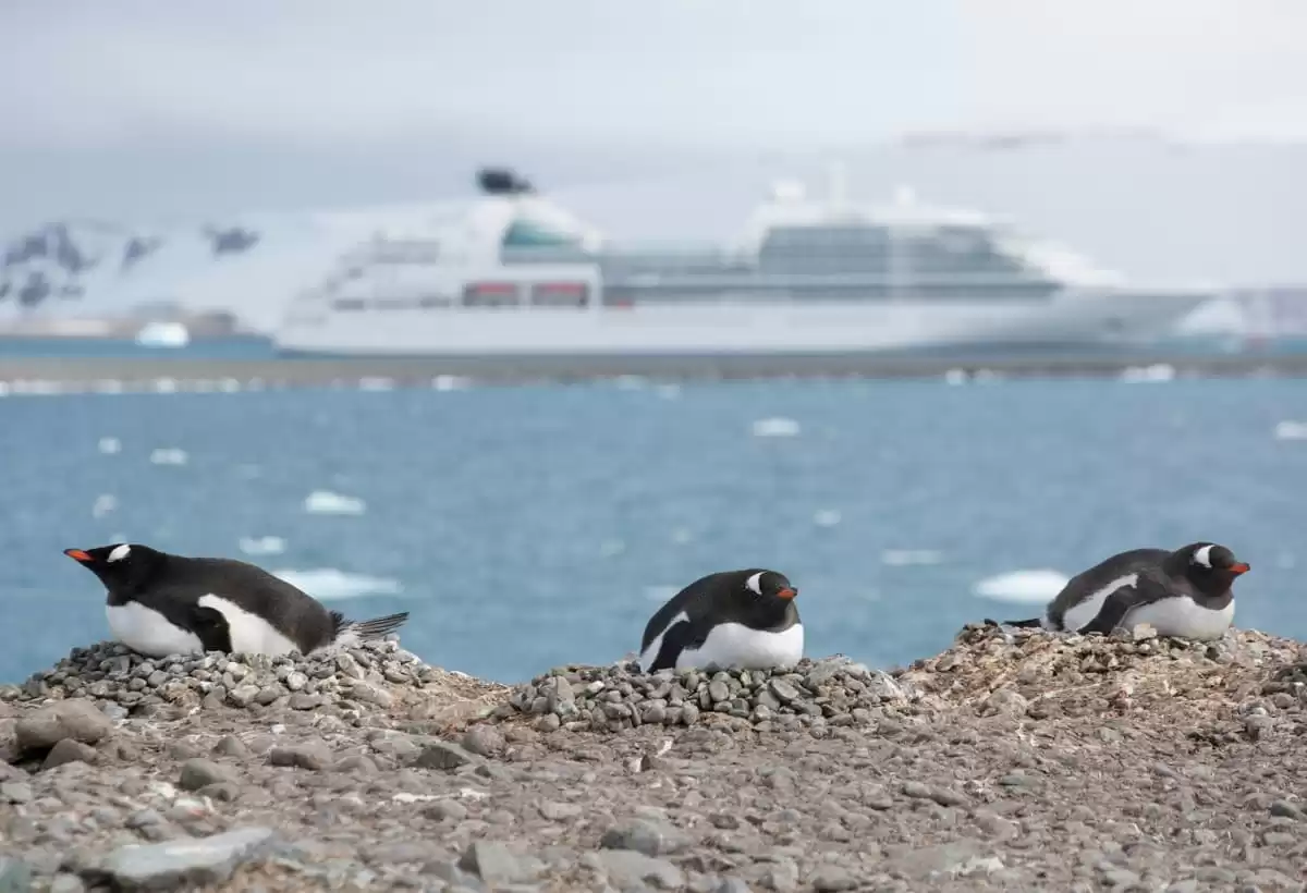 el Seabourn Quest :  cabine 10