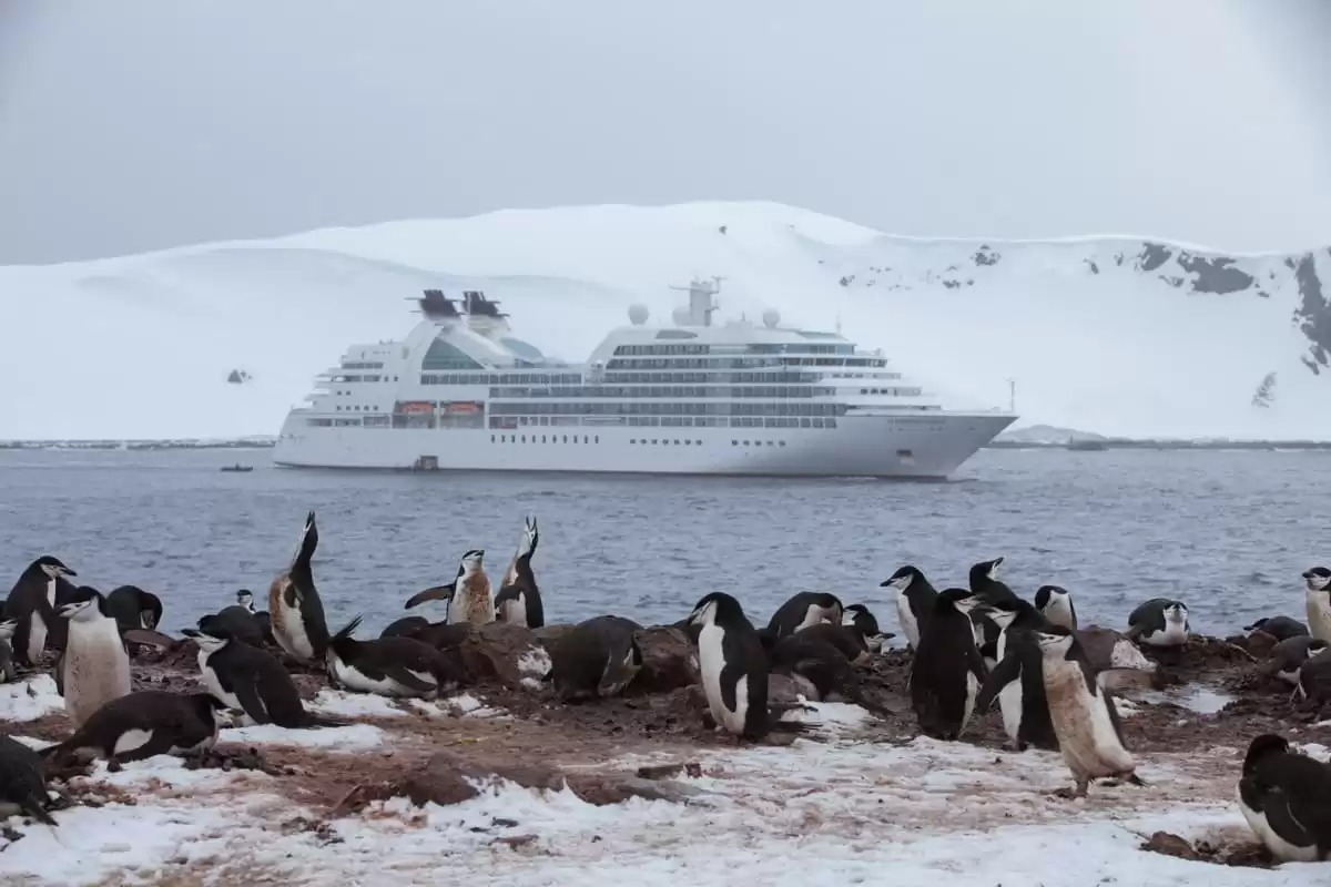 el Seabourn Quest :  cabine 14