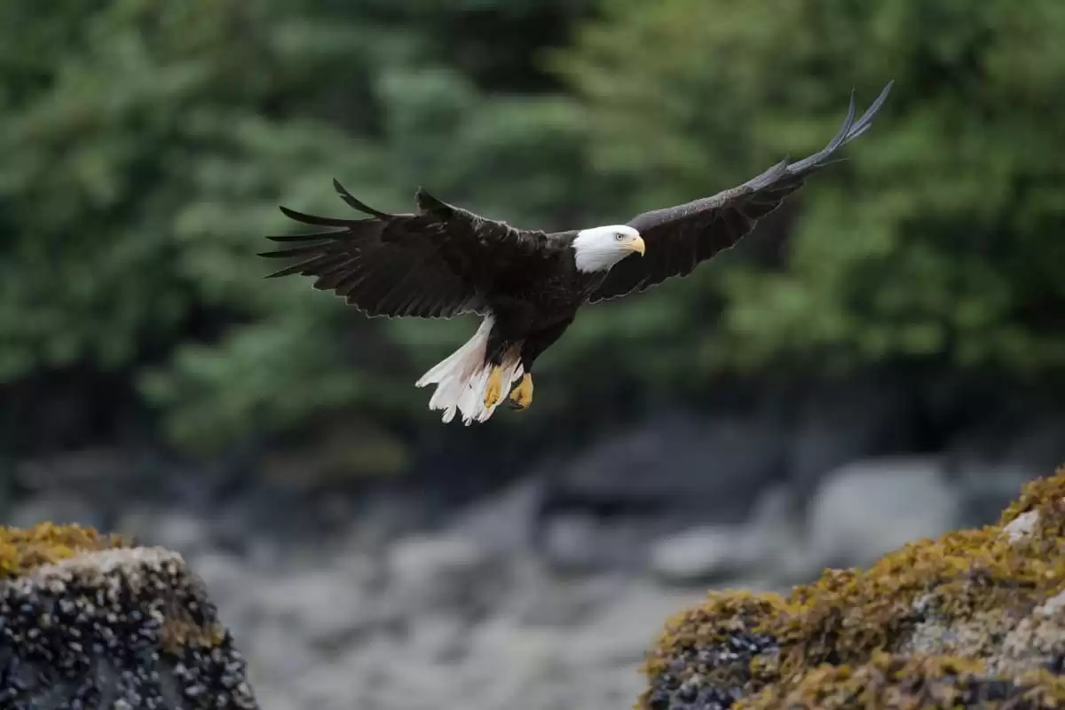 el Seabourn Sojourn :  cabine 0