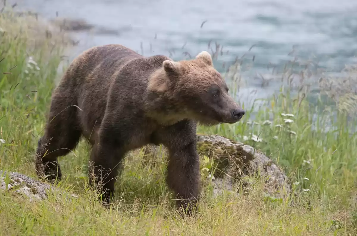 el Seabourn Sojourn :  cabine 2