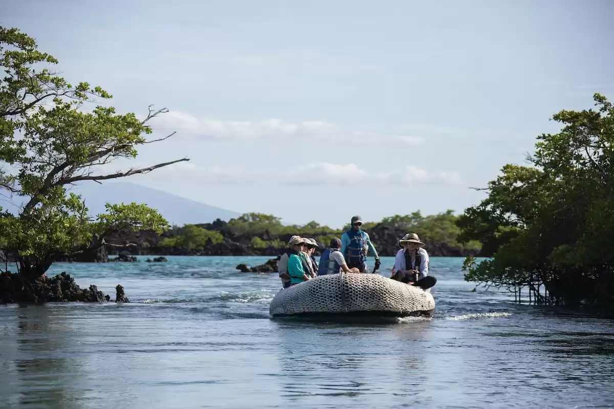 el Silver Origin :  cabine 32