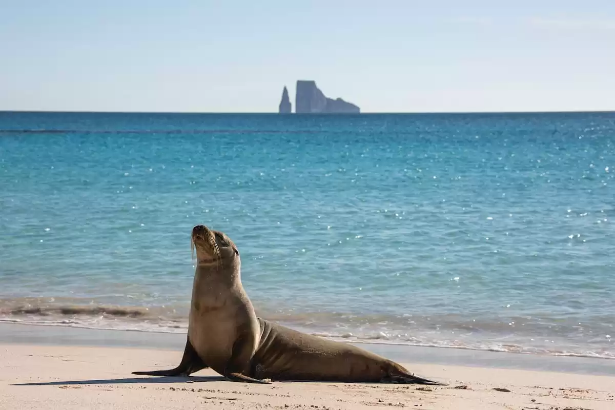 el Silver Origin :  cabine 33