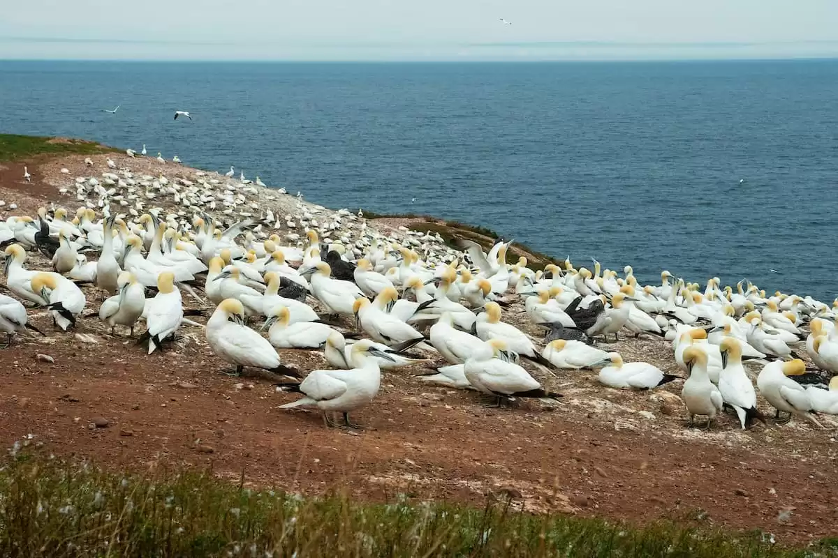 el Silver Wind :  cabine 5