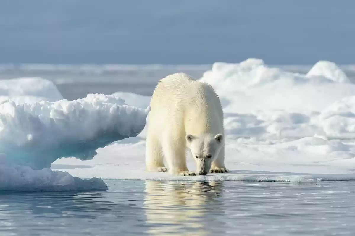 el Silver Wind :  cabine 12