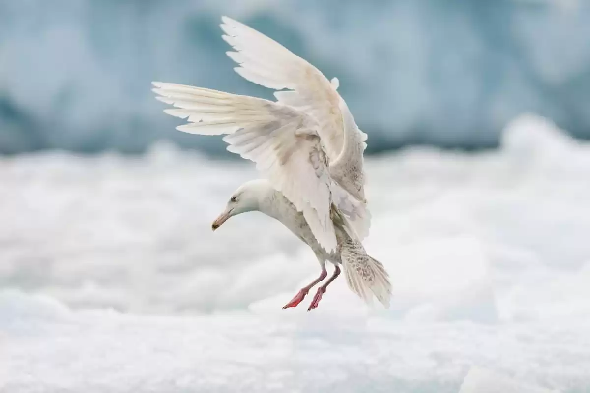 el Silver Wind :  cabine 14