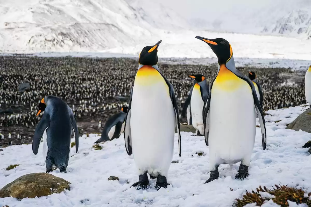 el Silver Wind :  cabine 28