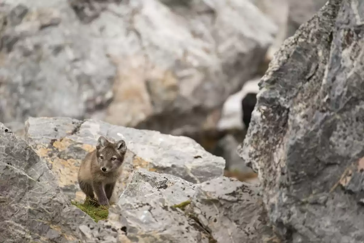 el Silver Wind :  cabine 39