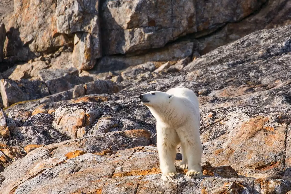 el Silver Wind :  cabine 48