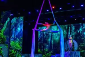 Espectáculos en The Mainstage