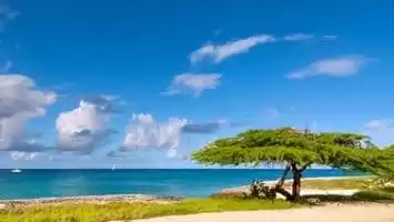 Aruba