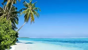 Caribe