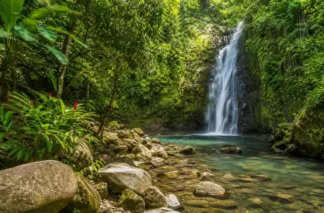 En Guadalupe