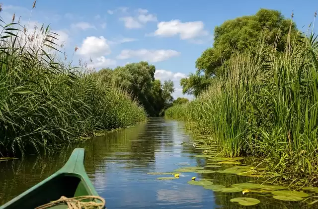 En el delta del Danubio