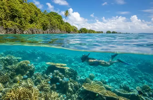 Arrecifes de Kosrae