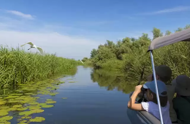 Canales del delta
