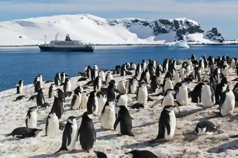 Islas Shetland del Sur